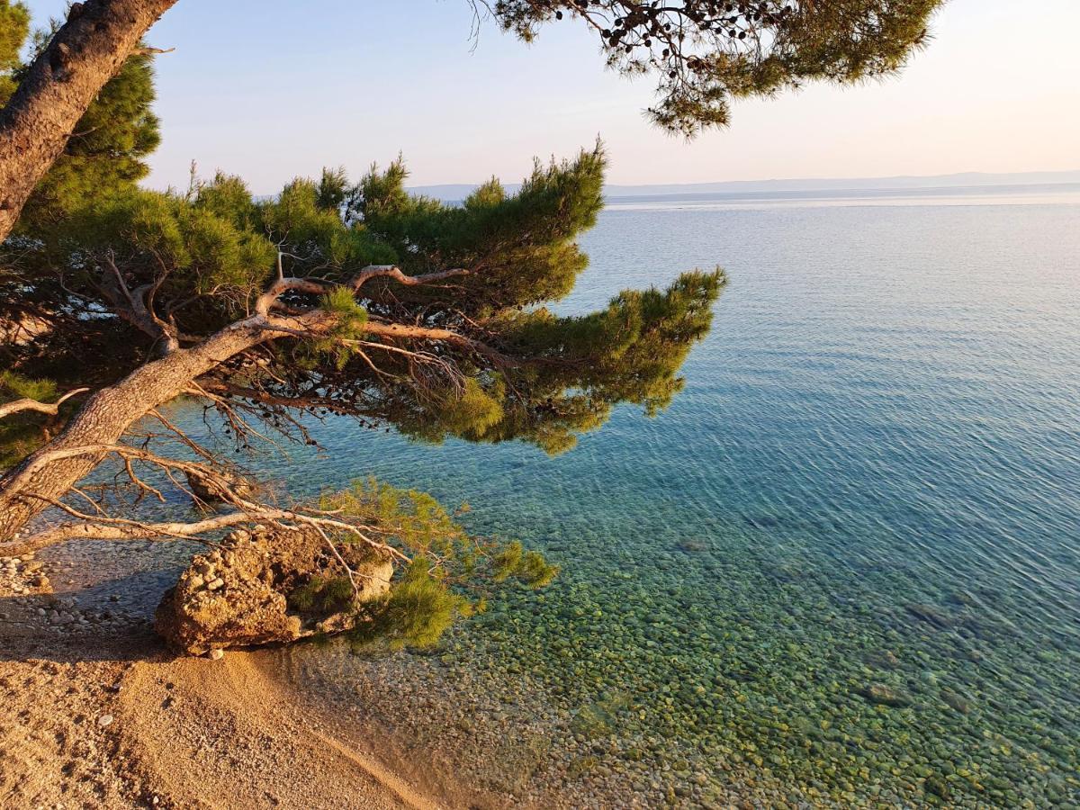 Villa La Vita Baška Voda Zewnętrze zdjęcie